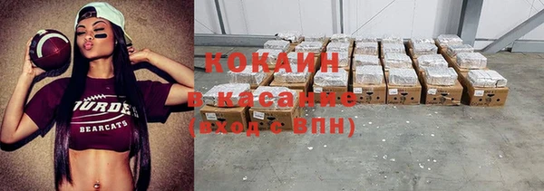 прущие грибы Беломорск