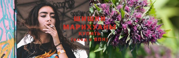 прущие грибы Беломорск