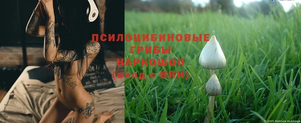 таблы Богородицк