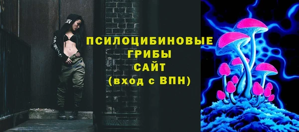 тгк Белокуриха