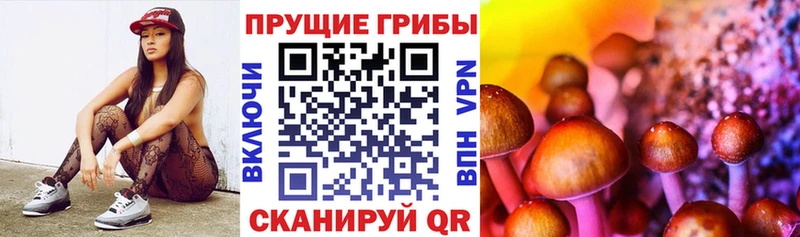 что такое наркотик  Макаров  Псилоцибиновые грибы прущие грибы 
